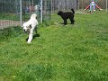 afb_20160506 (109)